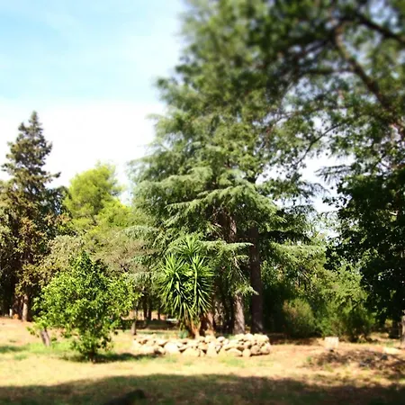 Vendégház Mas Elunia Argelès-sur-Mer