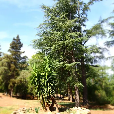 Mas Elancia Argeles-sur-Mer