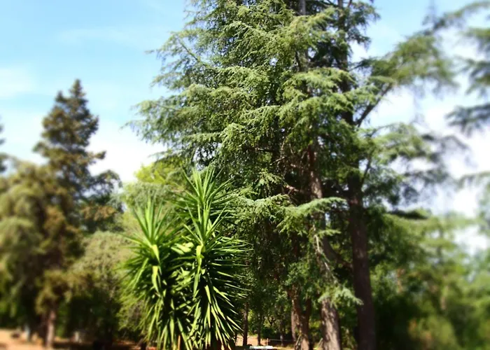 Mas Elunia Argelès-sur-Mer