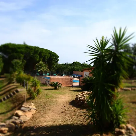 Mas Elancia