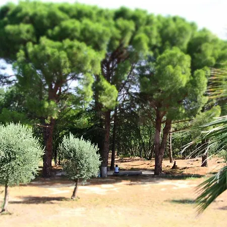 Mas Elancia Argelès-sur-Mer