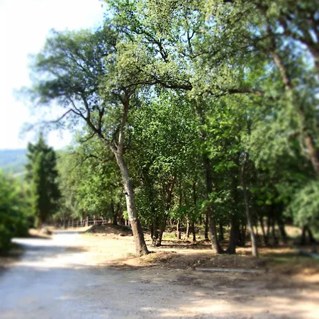 Mas Elancia Gasthuis